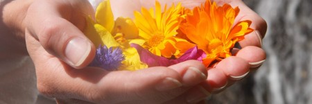 È primavera… ricarichiamo il nostro corpo con l’energia vitale dell’universo!