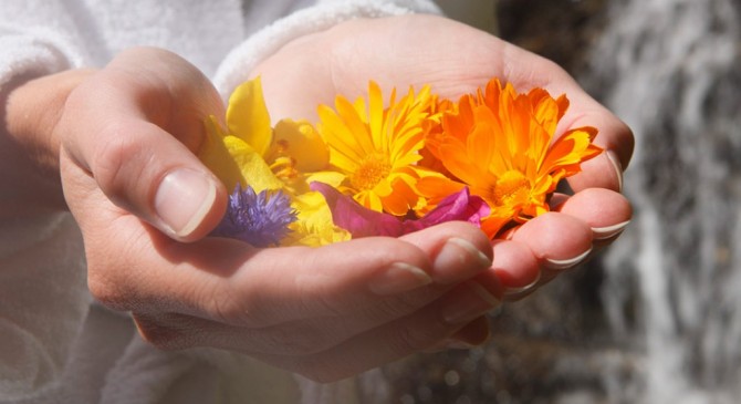 È primavera… ricarichiamo il nostro corpo con l’energia vitale dell’universo!