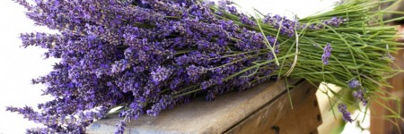 I pacchetti rigeneranti di Settembre…