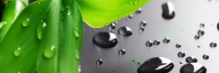 Energia nuova sul tuo corpo…
