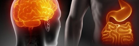 Massaggio all’Addome, il nostro secondo cervello
