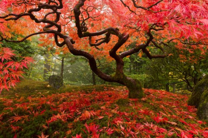 Autunno… un tripudio di emozioni, profumi e colori!!!