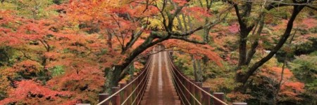 Magia d’autunno…