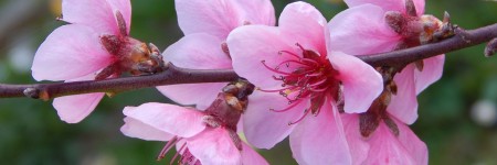 È primavera… ricarichiamo il nostro corpo con l’energia vitale dell’universo!