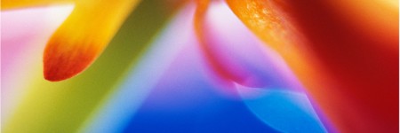 Amorevolezza… verso una vita vera!