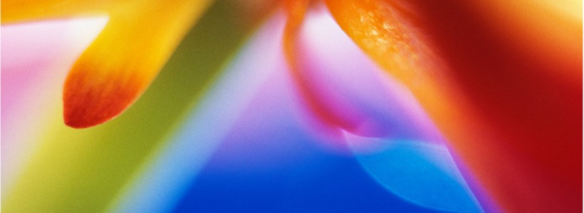 Amorevolezza… verso una vita vera!