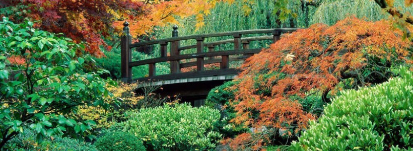 Autunno… un tripudio di emozioni, profumi e colori!!!