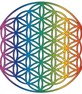 Convegno: LE ALI DELLA LIBERTÀ(ce le fornisce il nostro Universo interiore)