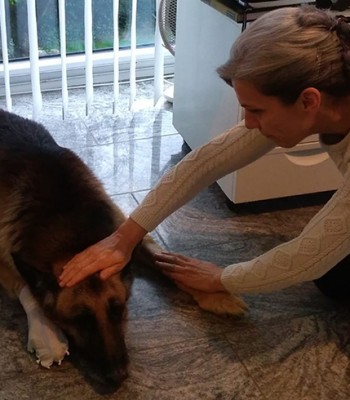 Il “soffio vitale”: la pranoterapia per i nostri amici a quattro zampe…
